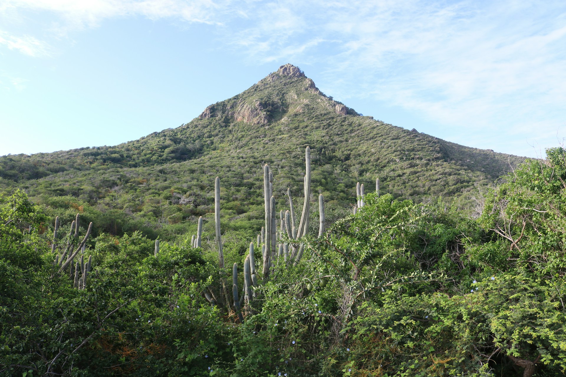 Christoffel Berg